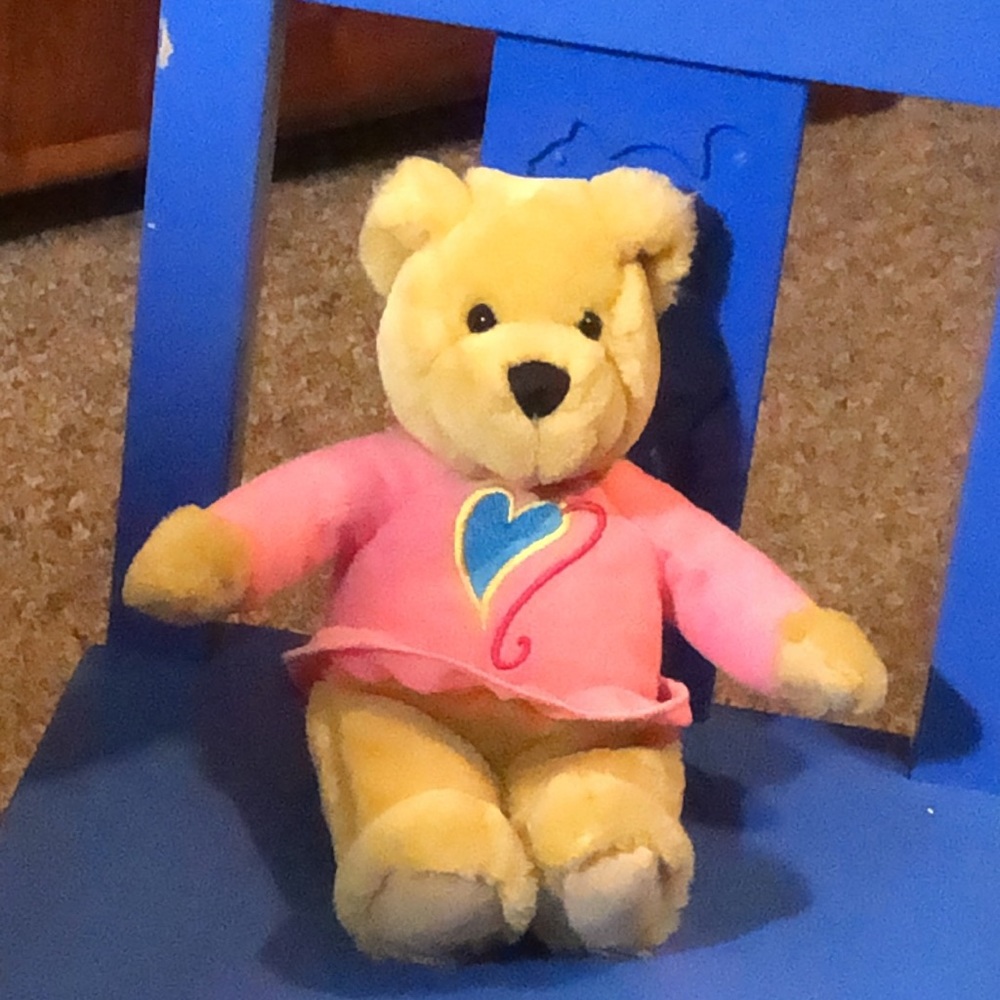Cuddly stuffed animal bear with pink shirt 10 inches